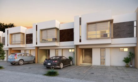 Firme tendencia en Ruba en 12 años continuos en 2022