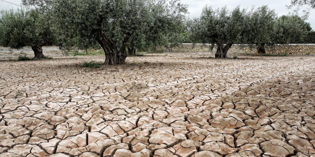 Prevén más sequía en la región Carbonífera