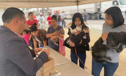 Aplican dosis de vacunas antirrábicas en Sabinas
