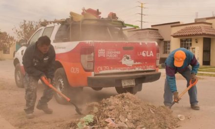 Mantienen acciones de limpieza en colonias  de Torreón