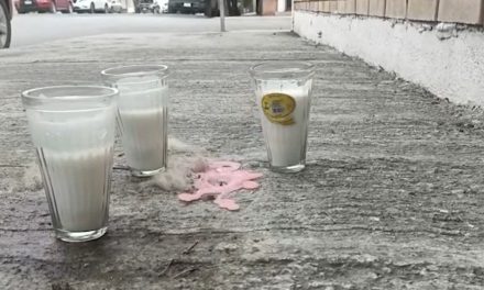 Saltillo: Dueña de Ghost relata qué fue lo que sucedió tras la muerte de su mascota