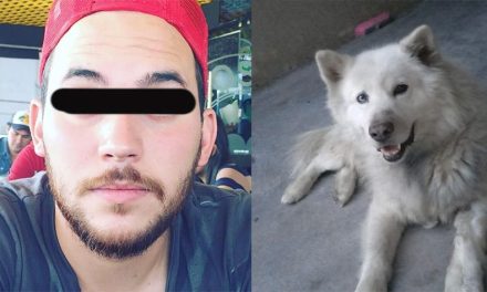 Alberto ‘N’, el presunto ‘destripador de mascotas’ en Saltillo