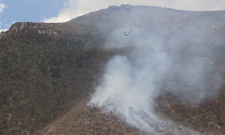 Alertan por temporada de incendios en Arteaga