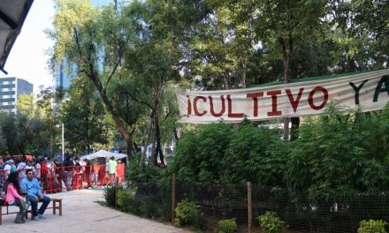 Retiran del Senado de la CDMX plantón en pro de la mariguana