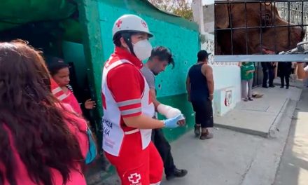 Perro cansado de maltrato mordió la mano a su cuidador en la colonia La Palma de Saltillo