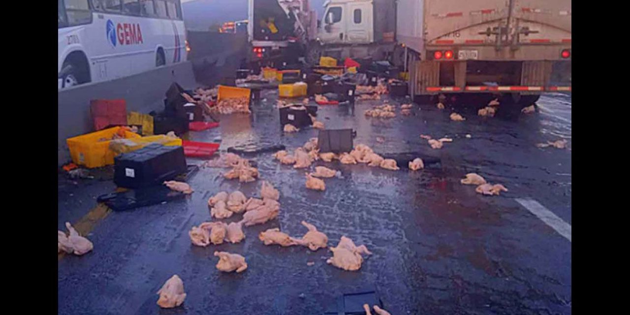 Se roban pollos tras accidente de trailer en García, Nuevo León