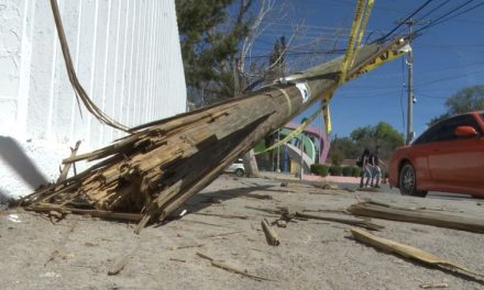 Poste derribado representa riesgo para alumnos de Unidad Camporredondo de Saltillo