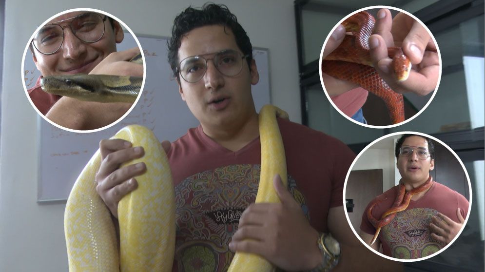 El extraño hábito de coleccionar serpientes de un joven saltillense