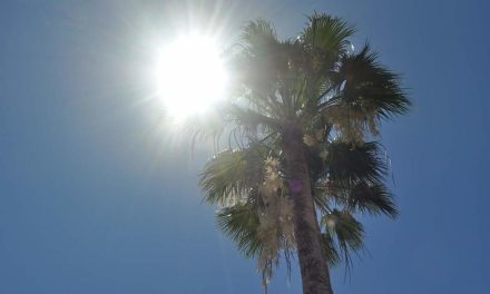 Se adelantó el calor; este miércoles la temperatura llegó a 29 grados