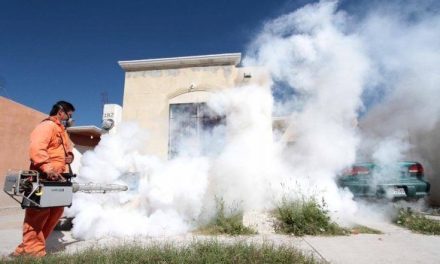 Refuerzan campaña contra el dengue en Múzquiz