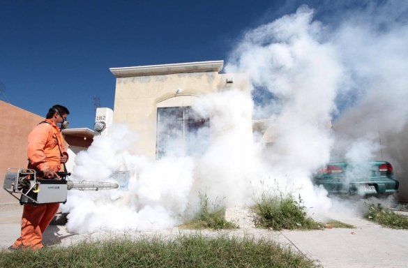 Refuerzan campaña contra el dengue en Múzquiz