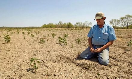 Conaza deja en total desamparo a campesinos de Coahuila