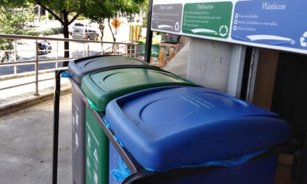 Enseñan a niños a cuidar el ambiente