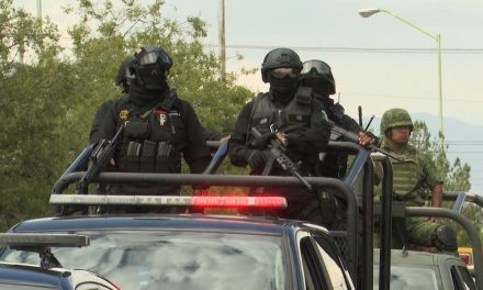 Deja Policía Complementaria ingresos por 2 mdp al mes; la conforman 70 elementos
