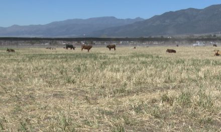 Sequías son recurrentes en Coahuila, prevén poca lluvia este año