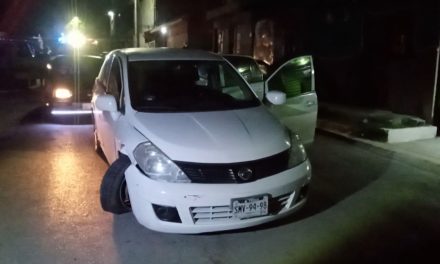 Saltillo: ¡No vio elefantes rosas, vio gatos! Condutor chocó al esquivar un felino
