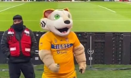 Botarga de Tigres es captada haciendo señas obscenas a los aficionados de Rayados (video)