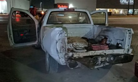 Saltillo: Sube al camellón y derriba palmera en V. Carranza