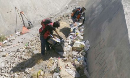 Refuerzan campaña de fumigación contra la rickettsia en Ramos Arizpe