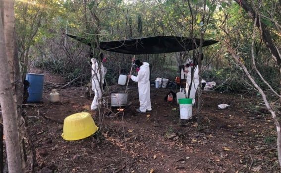 Sin narcolaboratorios en Coahuila; sin embargo hay decomisos de fentanilo