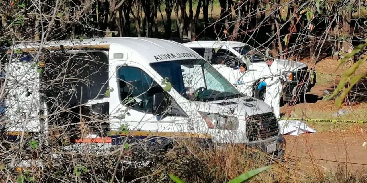 Descubren fosa clandestina en Michoacán, se desconoce las identidades de los 12 cuerpos