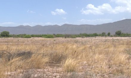 Se acaba el agua en General Cepeda; afecta a más de 3 mil familias
