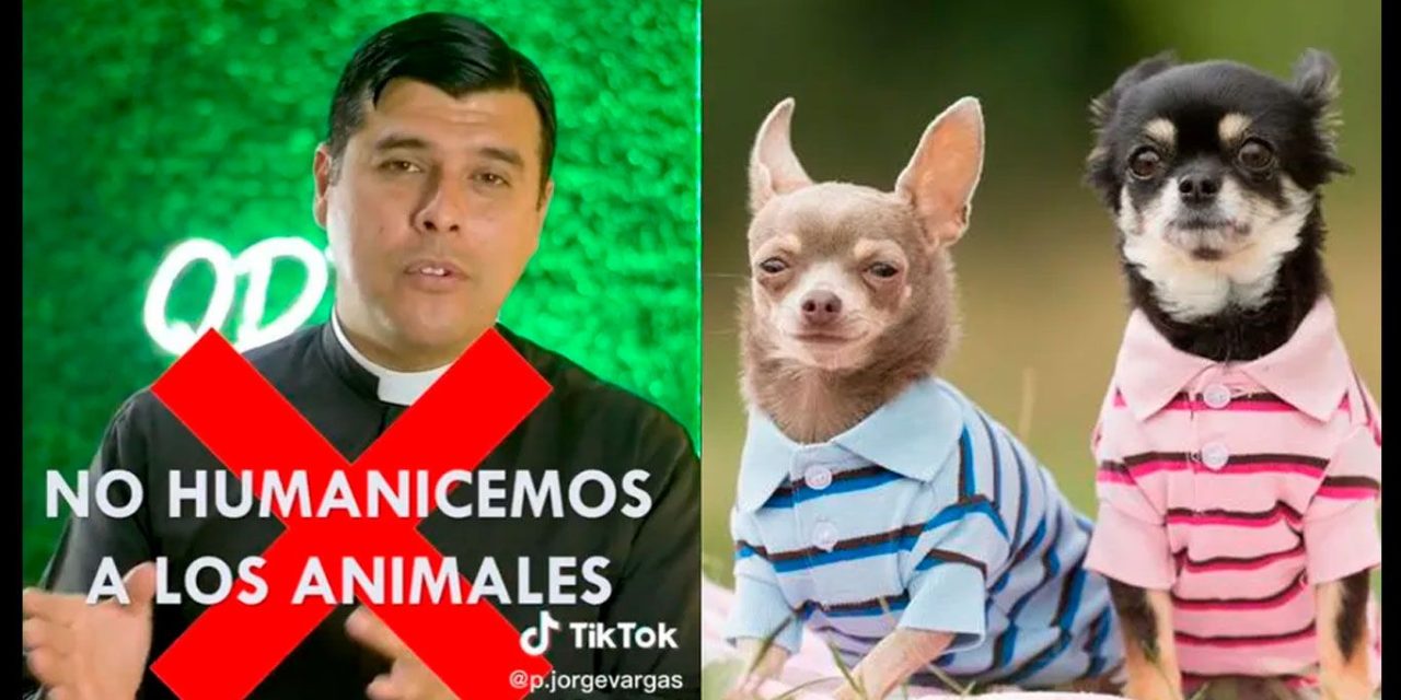 Son más importantes los humanos; sacerdote pide no humanizar a las mascotas