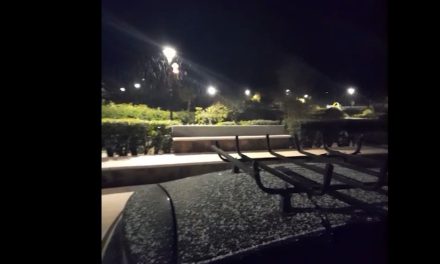 ¡Llegó la nieve! Reportan ligera caída de grajea y aguanieve en Arteaga