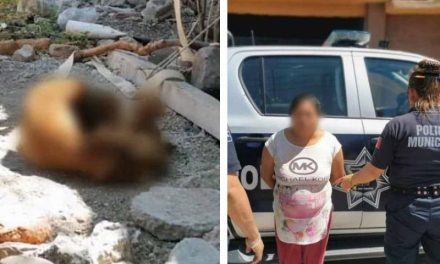 Mujer deja morir a un perrito amarrado en Querétaro