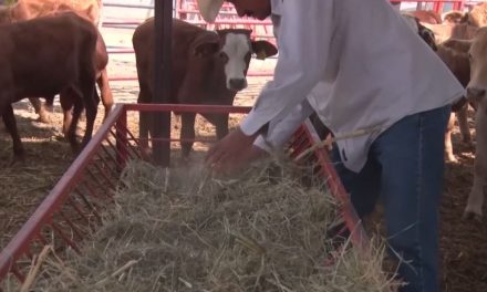 Gobierno de Saltillo suma acciones en beneficio de las 106 comunidades rurales