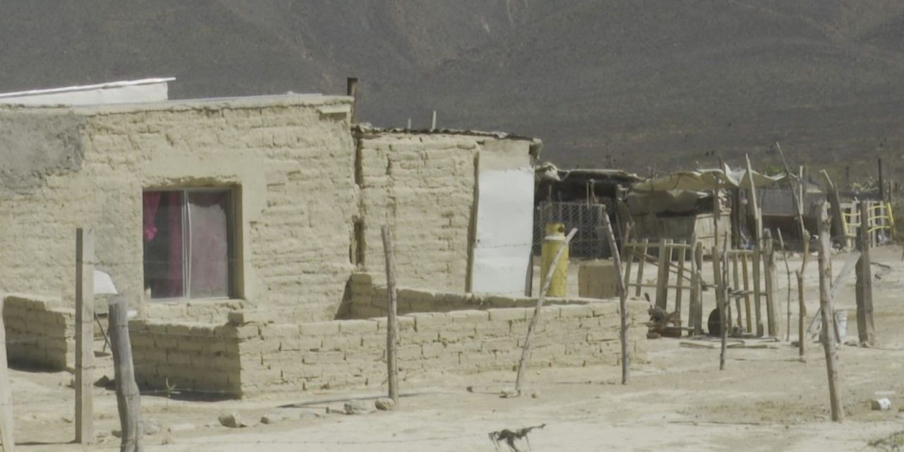 Dejó sequía pérdidas por más de 20 mdp en Coahuila