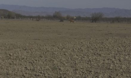 Esperan se extienda la sequía: será otro difícil año para productores en Coahuila