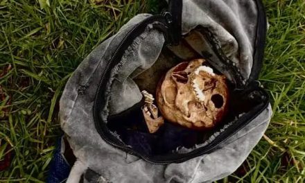 Pepenador halla cráneo humano en Nueva Rosita