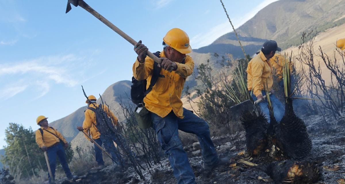 Buscan prevenir incendios forestales en Saltillo