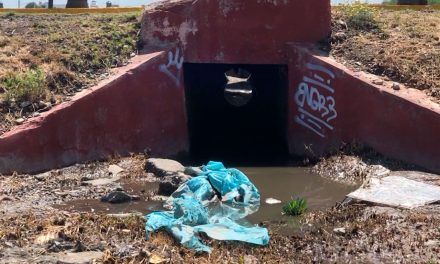 Saltillo: Se quejan de basura en un puente ubicado en la carretera a Zacatecas