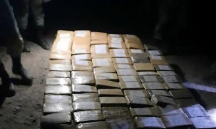 Aseguran miles de paquetes con cocaína en Colima y Nayarit