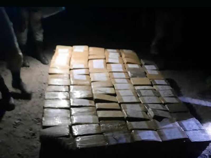 Aseguran miles de paquetes con cocaína en Colima y Nayarit