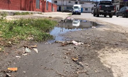 Piden padres de familia se revise una posible fuga de agua afuera de una escuela de Saltillo
