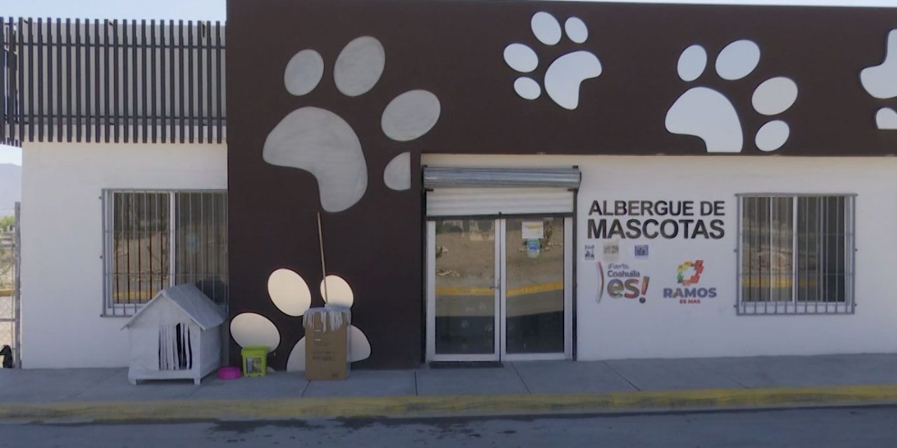 Combaten presencia de garrapatas en Ramos Arizpe