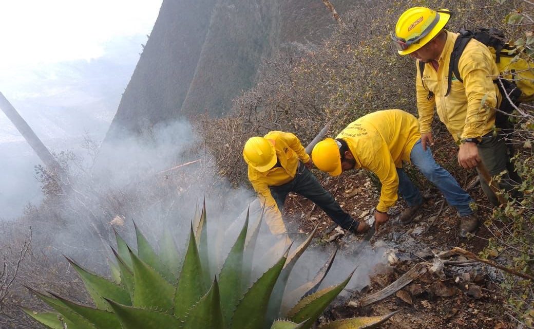 Controlan conatos de incendio tras tormenta eléctrica en Sierra de Arteaga