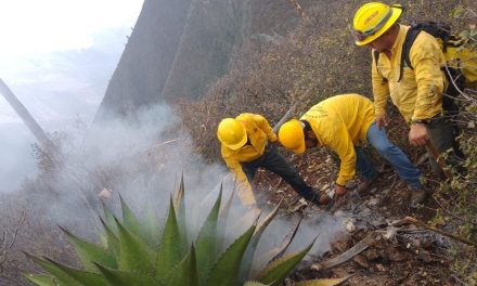 Controlan conatos de incendio tras tormenta eléctrica en Sierra de Arteaga