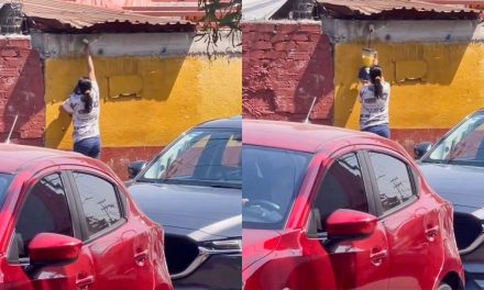 Mujer gandalla  ‘se cuelga de la luz’ en la calle para usar su licuadora y hacer jugos