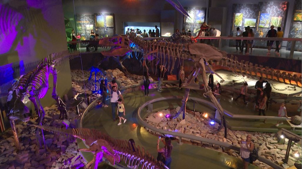 Museo del Desierto espera más de 33 mil visitantes en Saltillo: invitan a nuevas áreas recreativas