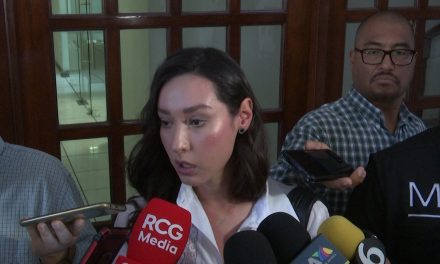 Lizbeth Ogazón espera ‘descongelen’ sus iniciativas