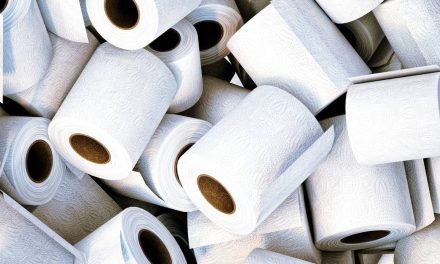 La alternativa para dejar de utilizar el papel higiénico