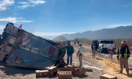 Trailer vuelca en la carretera Torreón-Saltillo; autoridades evitan rapiña de carne