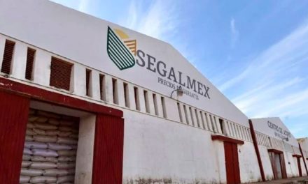 Ordenan liberar a exdirector de Finanzas de Segalmex