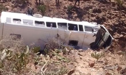 Autobús donde viajaba un equipo infantil de futbol de Colima cae a un barranco en Jalisco; hay un muerto