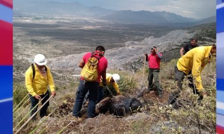 Oportuna respuesta de brigadistas de Arteaga al controlar incendio causado por un rayo