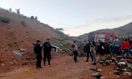 Vuelca camión con flores en Nayarit, reportan 8 muertos